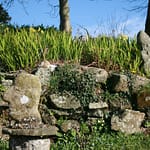 sculptures en granit au gite de kerioret izella
